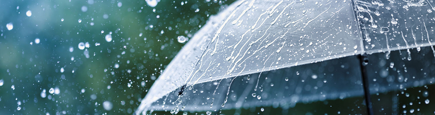 Georgia Umbrella Insurance Coverage